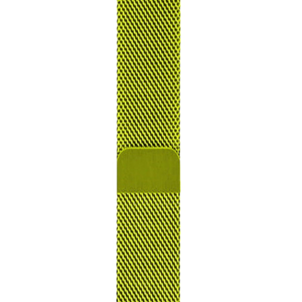Metal Mesh Watch Watch Band With Steel Magnetic Absorption Loop For Apple Watch SE/6/5/4/3/2/1(Green)