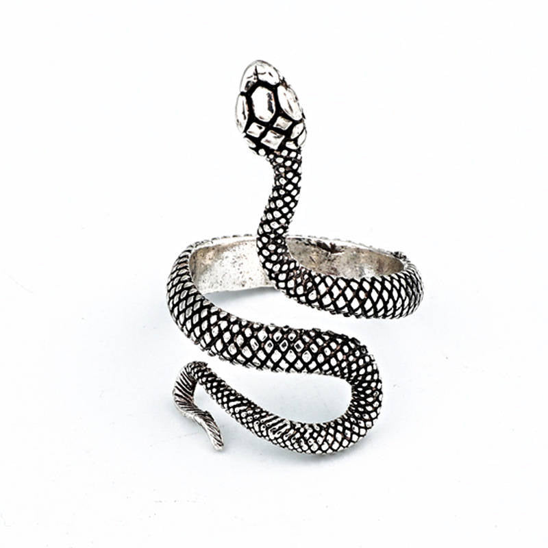 Pack of 2 Reptile Snake Ring for Women-BlackSilver