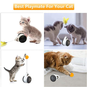 Cat Balance Swing Car Toy with Catnip Ball Feather Stick Interactive Pet Toys-Black