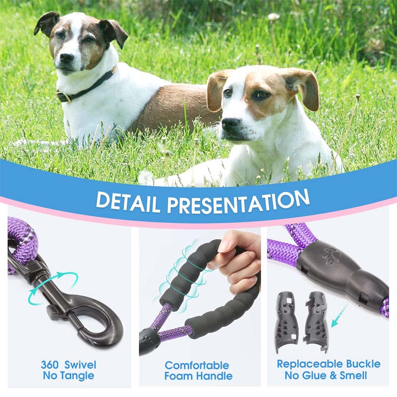 Strong Dog Leash with Comfortable Padded Handle and Highly Reflective Threads-Purple