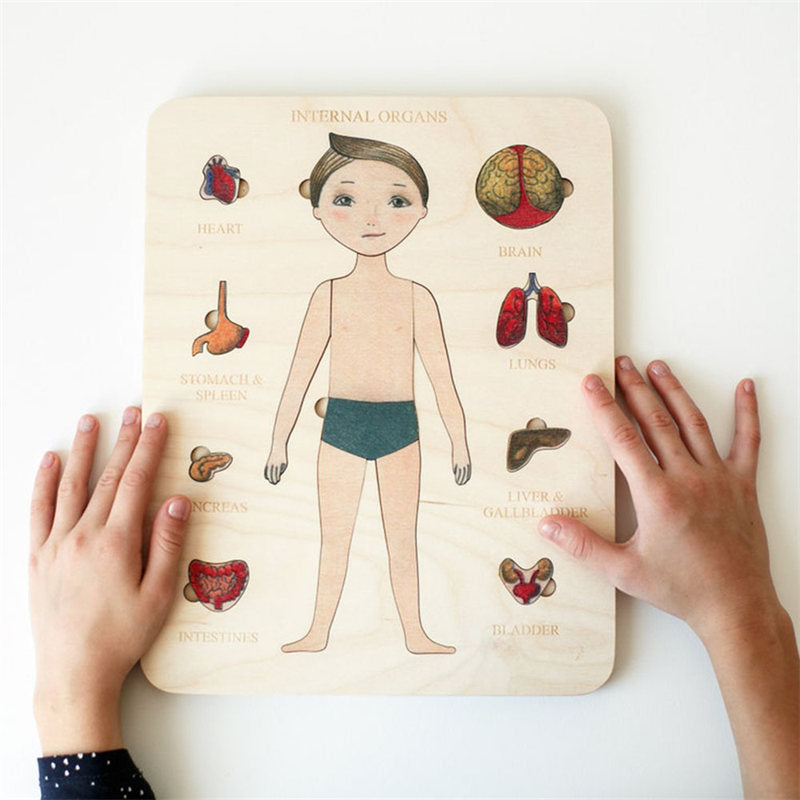 Wood Human Body Puzzles Toy Anatomy Play Set for Early Education Development-Boy1