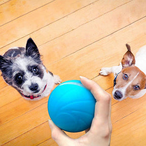 Wicked Ball Self Moving Interactive Ball For Dogs Cats-Blue