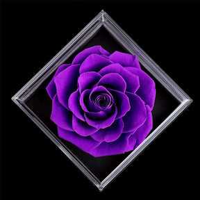 Preserved Flower Rose Gift Box for Valentines Day Anniversary Wedding-Purple