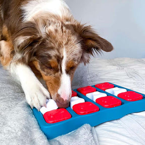 Outward Hound - Interactive Puzzle Game Dog Toys