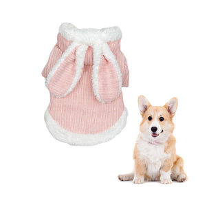 Pet Clothes for Cats and Dogs Cute Cartoon Clothing Two-legged Style-B