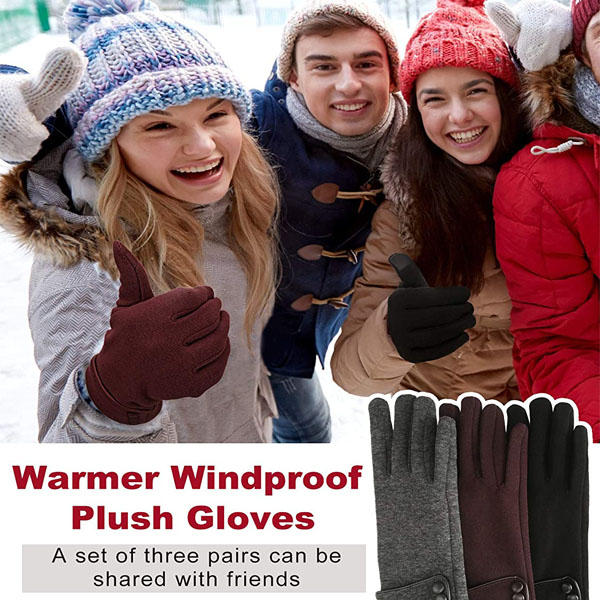3 Pairs Women Winter Gloves Warm Touchscreen Windproof Gloves-BlackGrayBrown