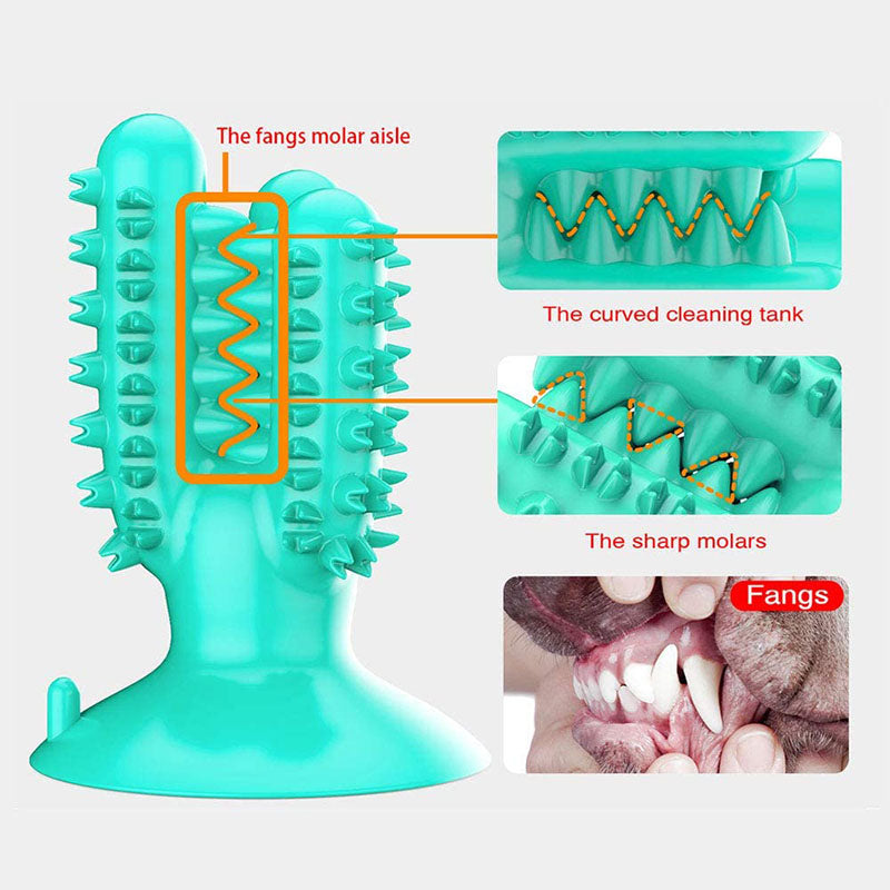 Dog Toothbrush Cactus Chew Toys Dog Teeth Cleaning Stick-Blue