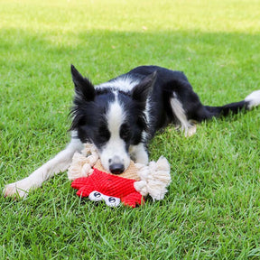 Dog Squeak Toy Partially Filled with The Chew Toy Suitable for Puppy and Medium Dogs-Crab