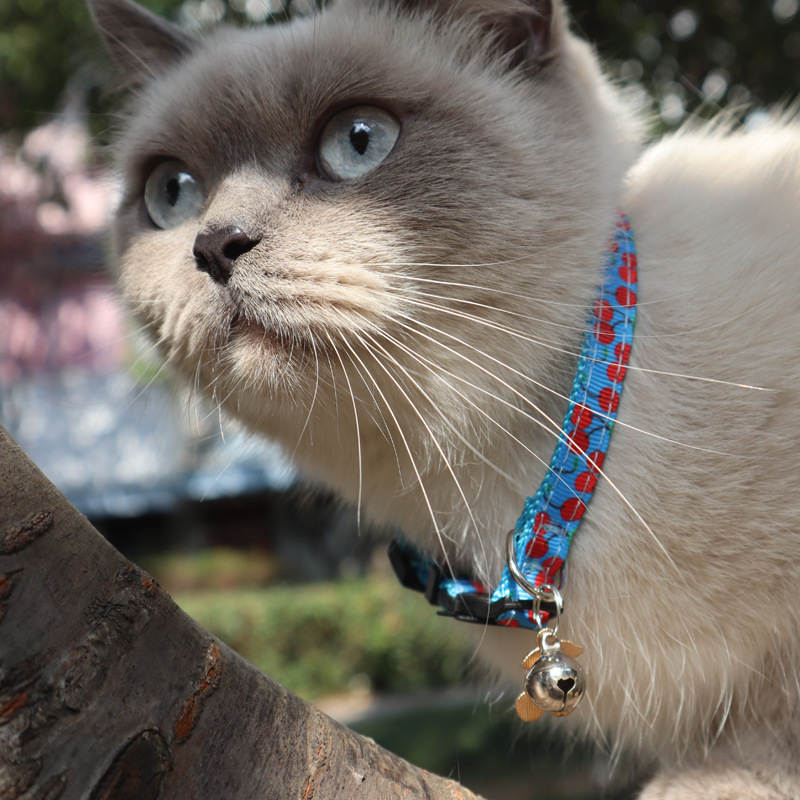 Breakaway Cat Collar with Bell Safety Adjustable Cat Collars-Cherry