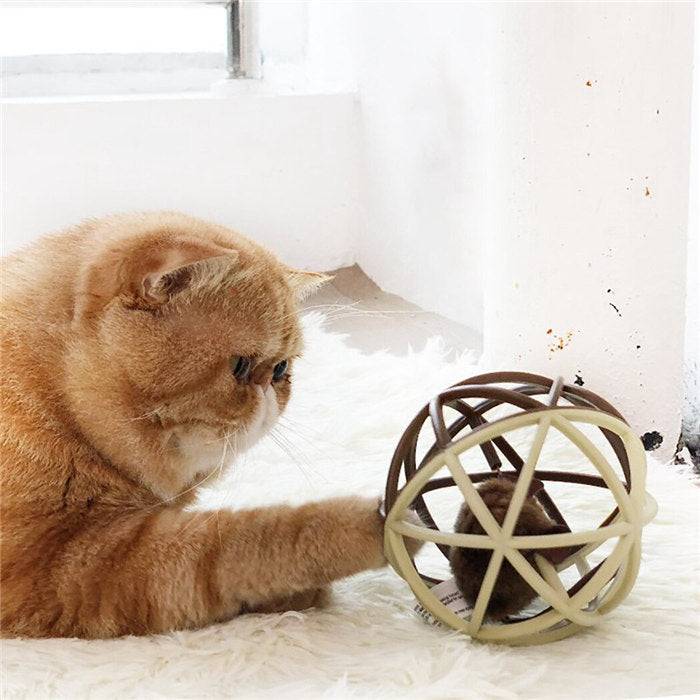 Cat Toy Ball Interactive Squeak Mouse Cage Toy-Beige Blue