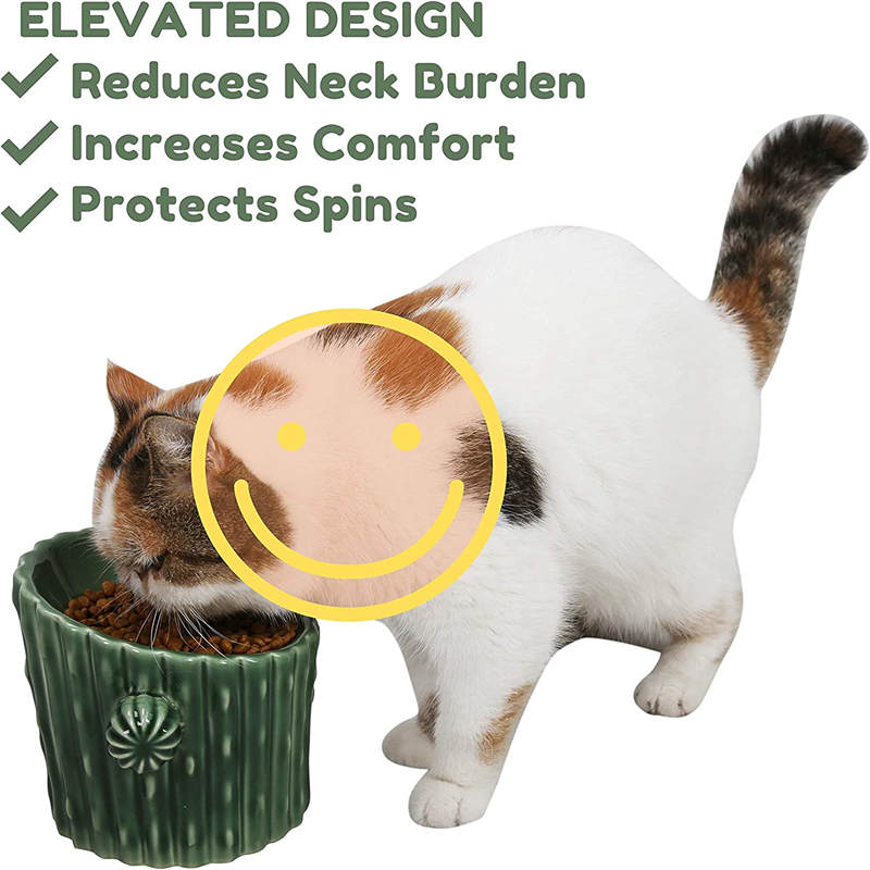 Cactus Elevated Ceramic Pet Bowls Tilted for Cats and Small Dogs Single Branch-White