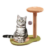 Avovado Shaped Cat Tree for Indoor Cats Tower Sisal Scratching Post