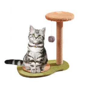 Avovado Shaped Cat Tree for Indoor Cats Tower Sisal Scratching Post