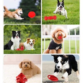 Dog Chew Toy Floating Pet Training Toy for Small Medium Dogs-SingleRugby