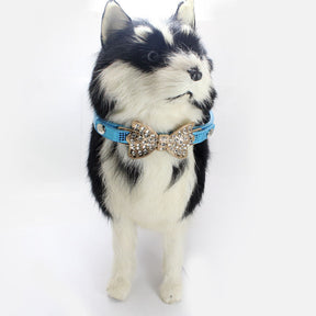 Pet Bling Diamond Giltter Leather Fashion Collar With Tow Rope for Small Dogs Cat Party Gifts-Blue