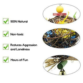 2pcs Bird Chew Toys Foraging Shredder Parrot Cage Hanging Takraw