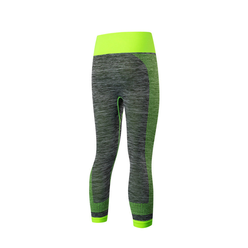 Adore Women Yoga Pants Fitness Workout Leggings Stretch Quick-Drying Short Tight Pants 5081-Green