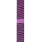 Metal Mesh Watch Watch Band With Steel Magnetic Absorption Loop For Apple Watch SE/6/5/4/3/2/1(Purple)