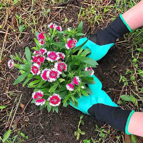 Home & LivingGarden Waterproof Gloves with Hand Sturdy Claws for Digging Weeding Seeding Poking Planting -Green