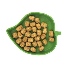 Reptile Food Water Bowl Plate Dish Suitable for Turtle to Drink and Eat-Tree