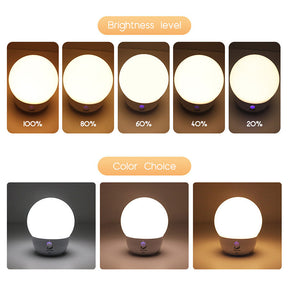 Smart Night Light Voice Control Portable Dimmable Color Changing Touch for Bedroom