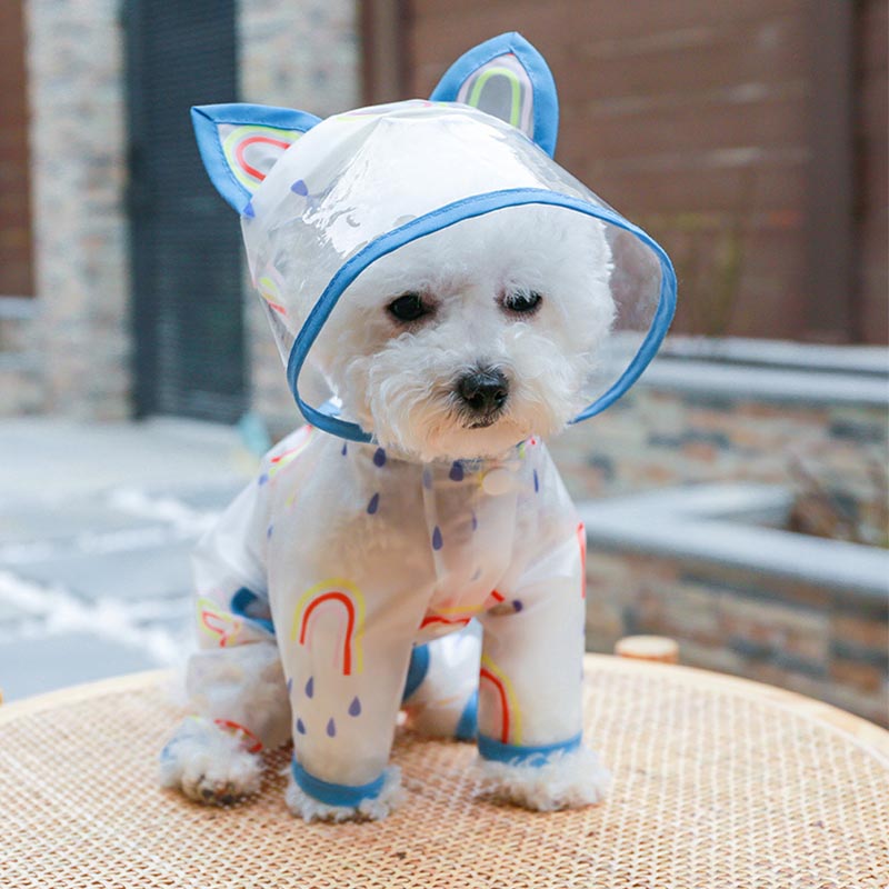 Dog Hoodie Raincoat Transparent Rainbow Printed Slicker for Small Dog -Blue