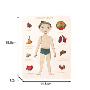 Wood Human Body Puzzles Toy Anatomy Play Set for Early Education Development-Boy1