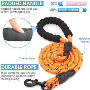 Strong Dog Leash with Comfortable Padded Handle and Highly Reflective Threads-Orange