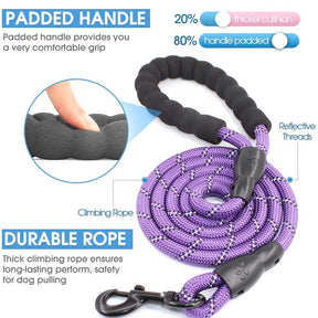 Strong Dog Leash with Comfortable Padded Handle and Highly Reflective Threads-Purple