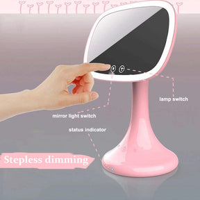 Makeup Mirror Led Dressing Table Mirror with 10X Magnifying Glass-Pink