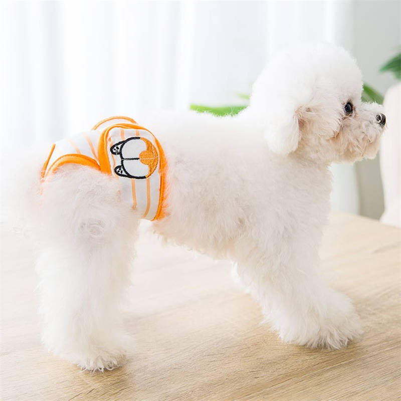 Washable Diapers Reusable Highly Absorbent for Doggy Female in Period-Corgi