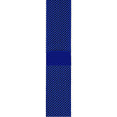 Metal Mesh Watch Watch Band With Steel Magnetic Absorption Loop For Apple Watch SE/6/5/4/3/2/1(Blue)