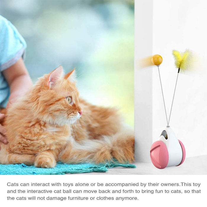 Cat Balance Swing Car Toy with Catnip Ball Feather Stick Interactive Pet Toys-Pink