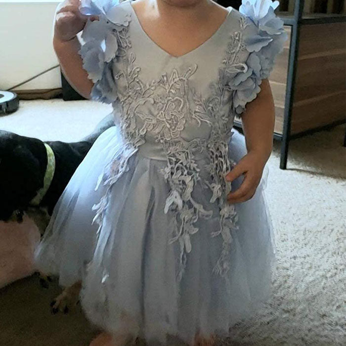 Princess Flower Girl Lace Dress Pageant Kids Christmas Party Dresses-Light Blue