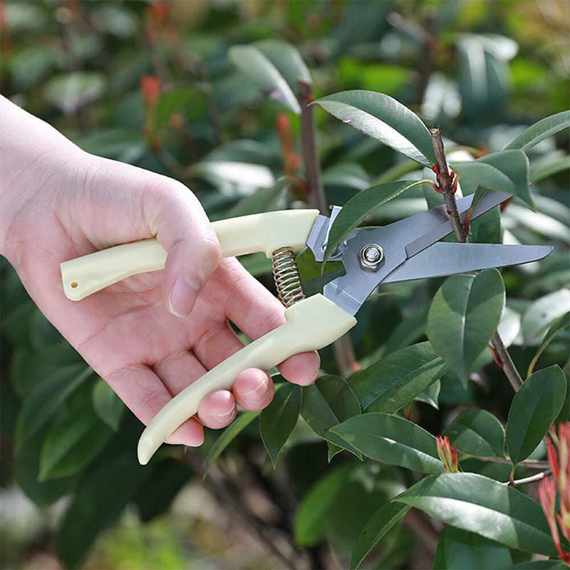 Gardening Straight Blade Pruning Shears for Cutting Flowers Trimming Plants Harvesting Herbs Fruits & Vegetables