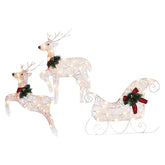 Set of 3 Outdoor Sleigh and Reindeer Christmas Ornament for Yard Lawn