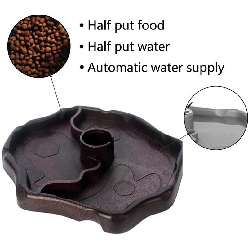 Reptile Water Bottle Automatic Feeders Waterer Food Bowl-Black